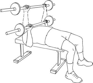 Length of barbell for bench outlet press